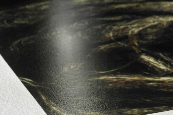 claire-deprez-selection-papier-fine-art-Hahnemuehle_Detail_Photo_Rag_Baryta