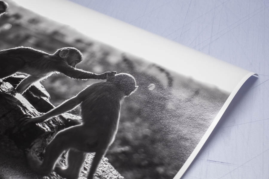 @Sarah Lucchini - Hahnemühle Photo Rag Baryta 315 Sarah Lucchini - Hahnemühle Photo Rag Baryta