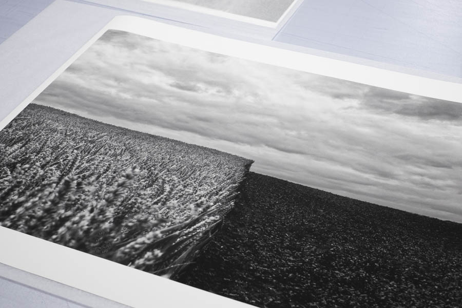 @Alain Reichling - Hahnemühle Photo Rag 308 Alain Reichling - Hahnemühle Photo Rag