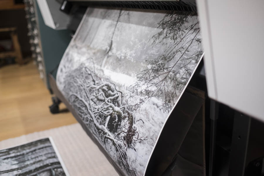 @Bernard Lange - Tecco PM230 Impression photo noir et blanc forêt