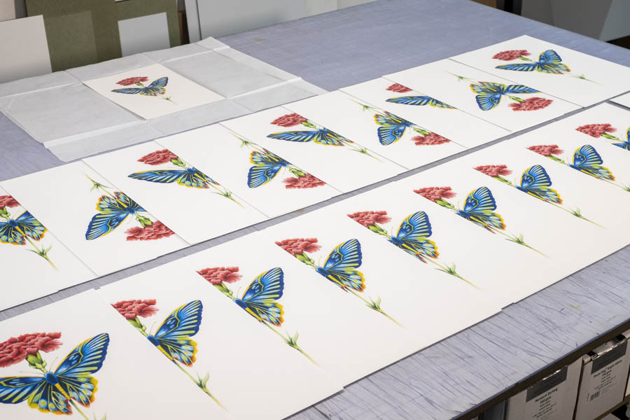 @Pauline Dubisy - Hahnemühle Natural Line HEMP Impression papillon sur papier mat Pauline Dubisy