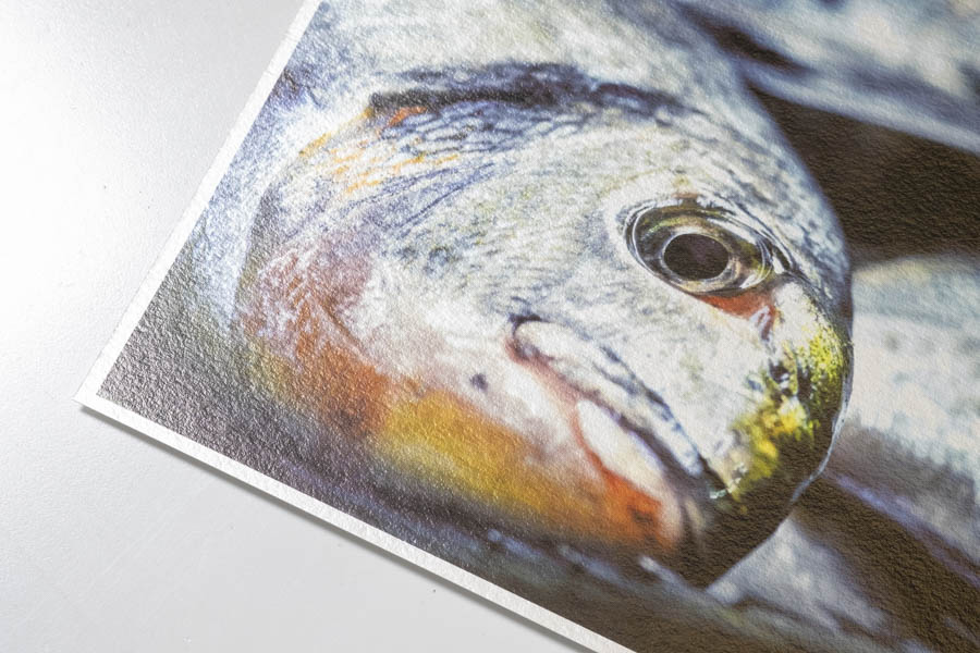 @CD - Hahnemühle Metallic Papier photo Hahnemühle Metallic