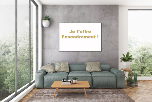 Je t'offre l'encadrement