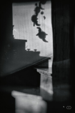 Claire Deprez portfolio personnel