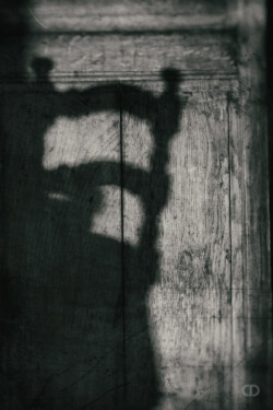 Claire Deprez portfolio sentiments partagés