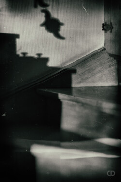 Ombres et lumières, lignes et courbes, vides et pleins. Claire Deprez portfolio enlacé