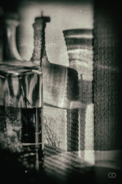 Portfolio de Claire Deprez