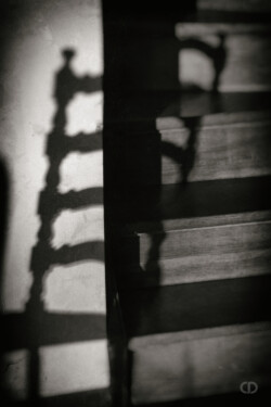 Enlassé, entrelacé, mélangé, mêler. Reflet d'échelle sur photo