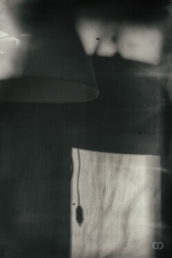 Sentiments partagés portfolio Claire Deprez