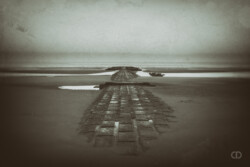 Sentiments mêlés. #Photographie #Photographer #Douceur #Eau #Sentiments #Mer #Ocean #Sable#Douceur #Eau #Sentiments #Mer #Ocean #Sable #photography #landscape #nature #photographer #art #artistsofinstagram #artist #naturelovers #instadaily #light #landscape_lovers
#lansdcape_captures #Fuji. Photographie de portfolio à la mer