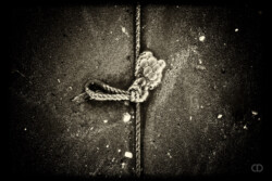 Portfolio de Claire Deprez thème mer