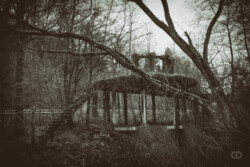 Structure abandonnée en bord de route