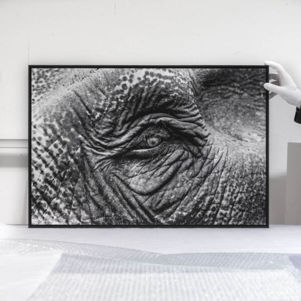 @Christophe Penninckx- Hahnemühle Photo Rag 308 Christophe Penninckx- Hahnemühle Photo Rag