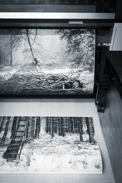 @Bernard Lange - Tecco PM230 Tirage photo noir et blanc forêt