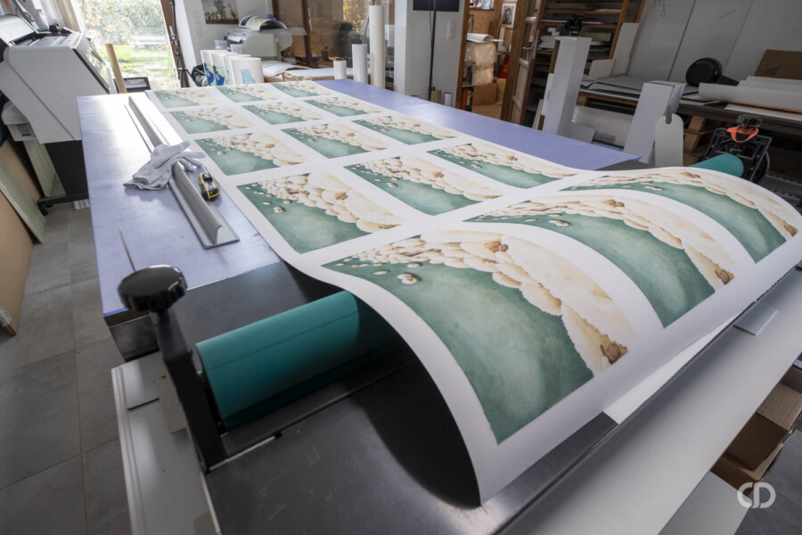 @Maudine Quelques exemplaires photos Maudine