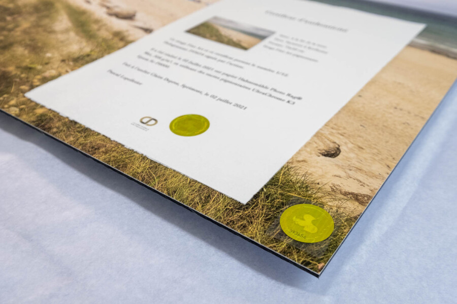 @McLepell McLepell tirage d'art en édition limitée