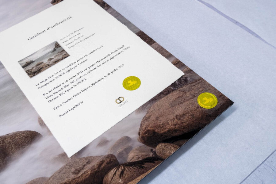 @McLepell McLepell oeuvre en édition limitée