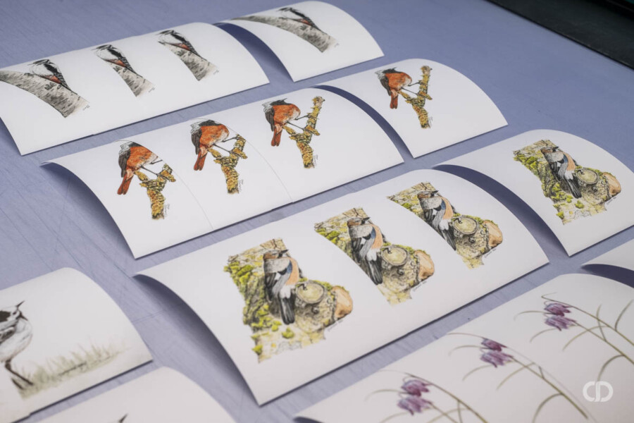 @Cécilia Duminuco Cecilia Duminuco tirage édition limitée