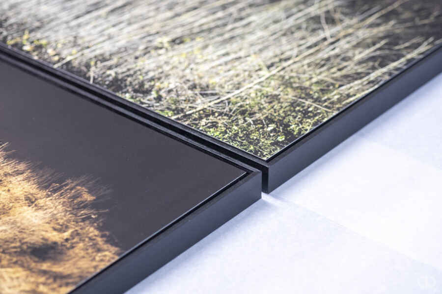 @Aurélien Lacroix Encadrement Caisse US Aurélien Lacroix