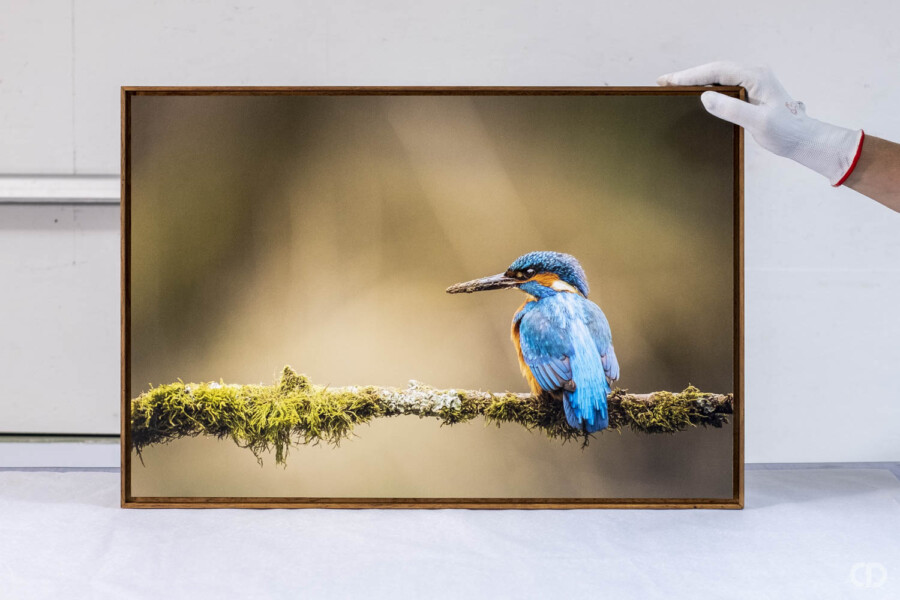 @Muso Encadrement Caisse US Muso