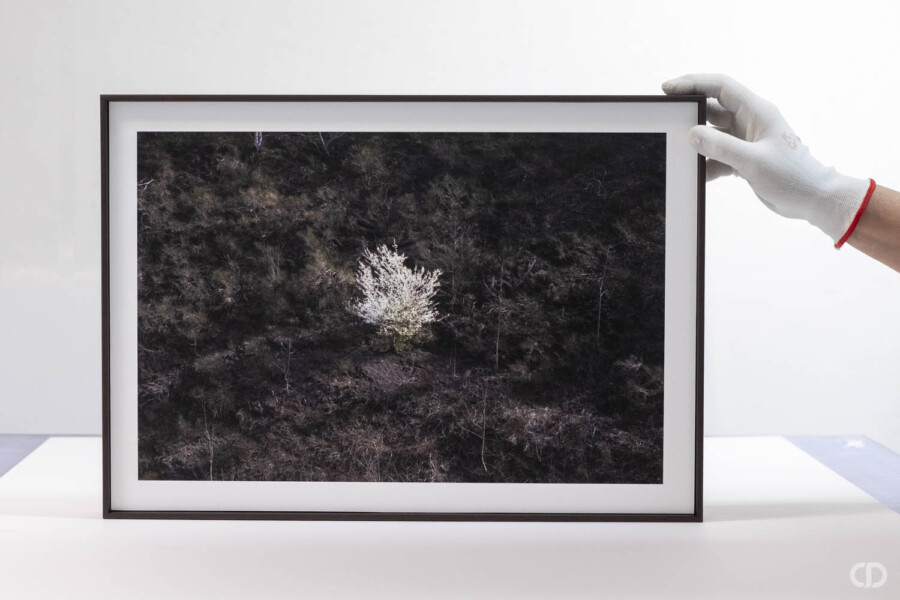 @Noe Delepine Encadrement Caisse US Noe Delepine