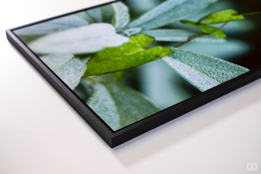 @Marceline Breways Encadrement Caisse US Marceline Breways