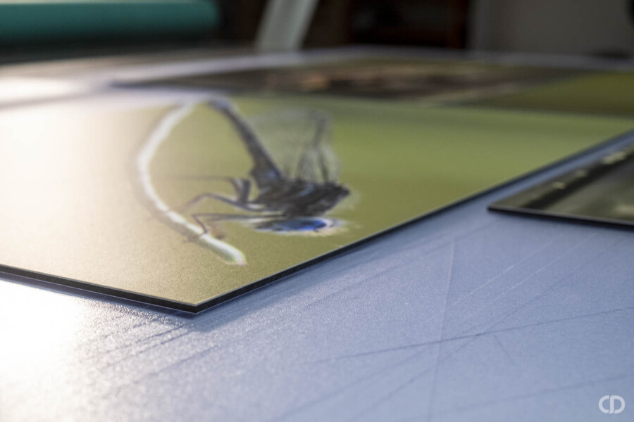 @Etienne Lestraet Encadrement contrecollé Dibond