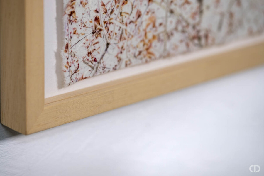 @Claire Deprez Encadrement vitrine