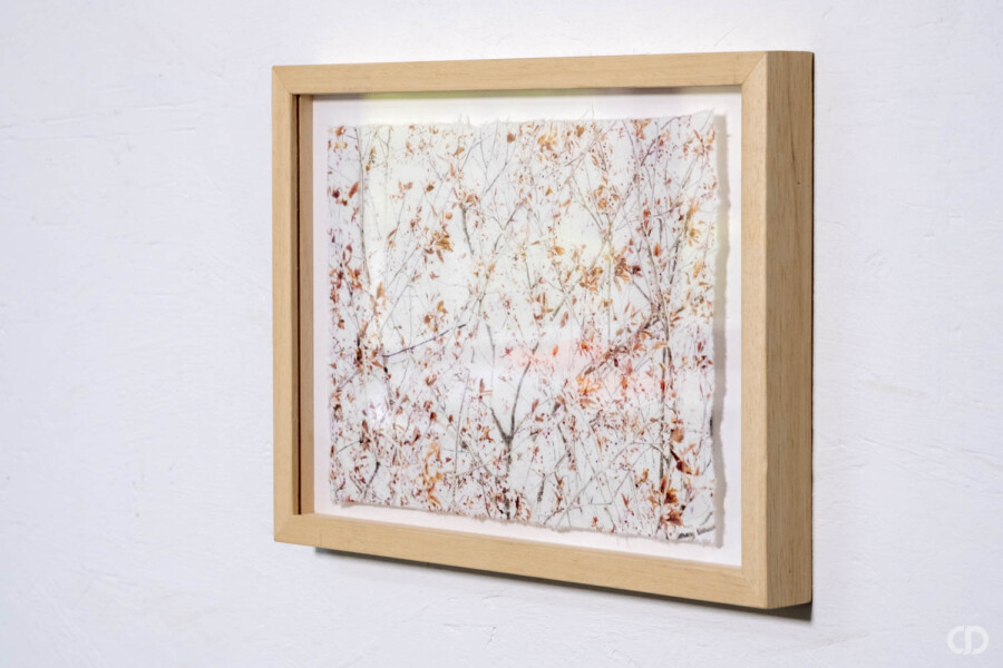 @ClaireDeprez Encadrement vitrine Claire Deprez