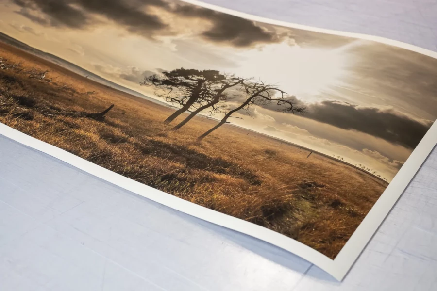 Tirage photo grand format paysage sauvage