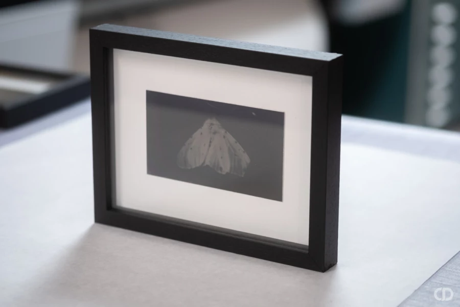 Laboratoire photo pro