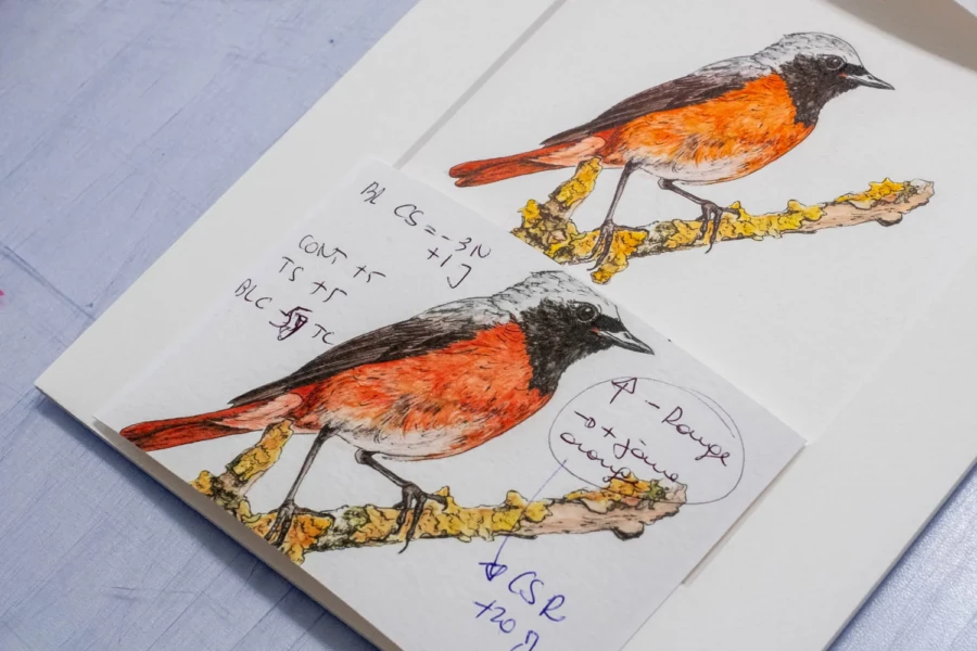 Reproduction tableau