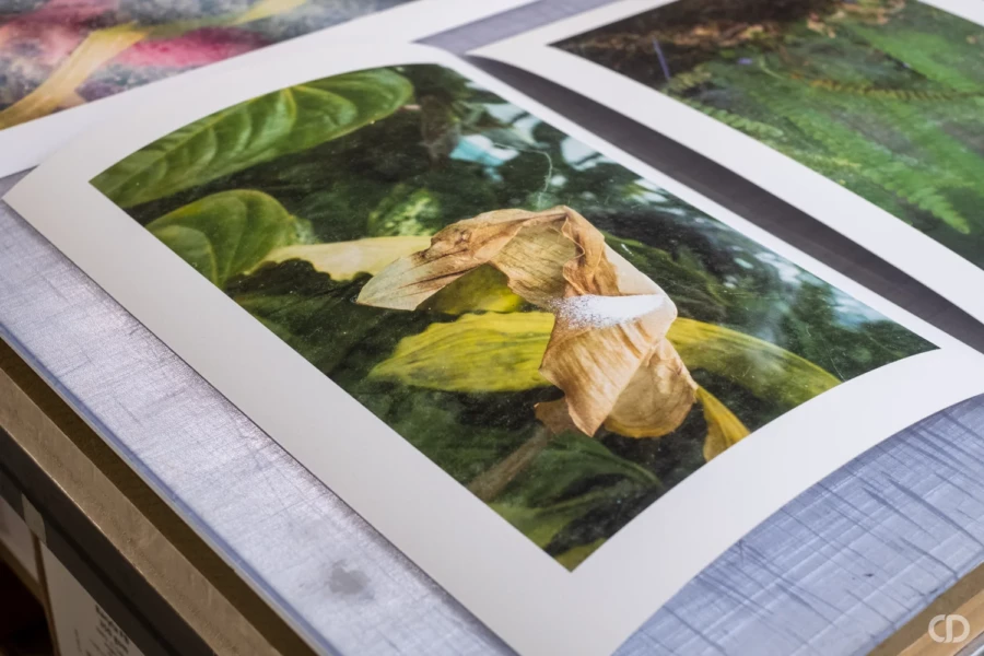 Tirage photo Fineart