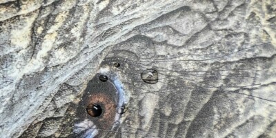 Laminât de protection