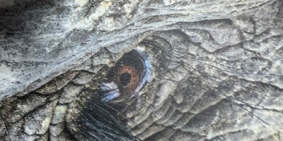 Laminât de protection