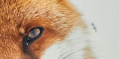 Laminât de protection