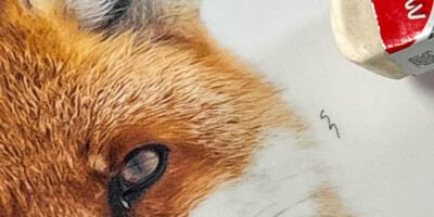 Laminât de protection