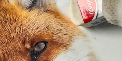 Laminât de protection